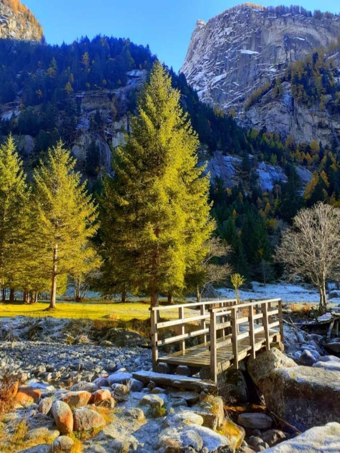 B&B Il Sottobosco Val Masino Esterno foto