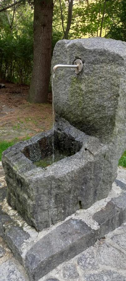 B&B Il Sottobosco Val Masino Esterno foto
