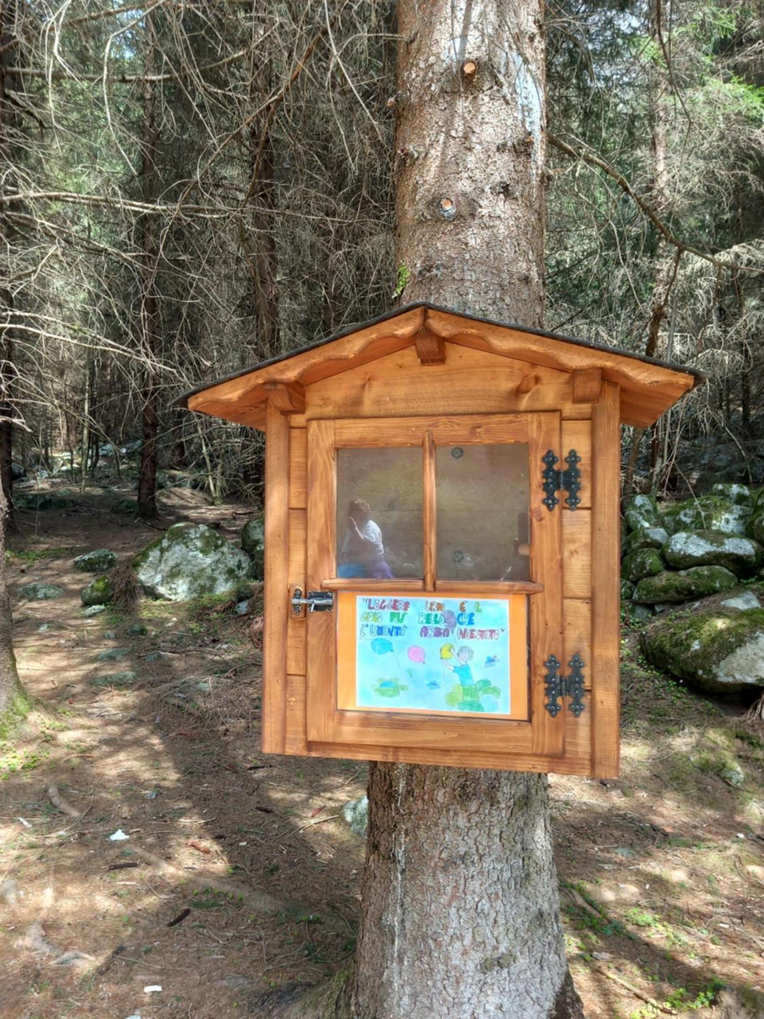 B&B Il Sottobosco Val Masino Esterno foto